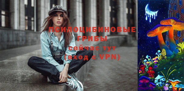 дживик Беломорск