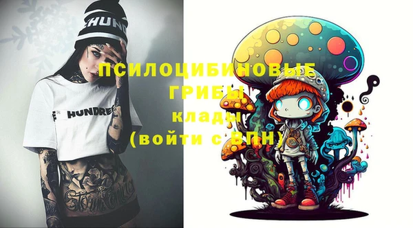 МДПВ Белокуриха